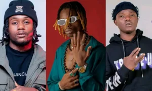 4 Na 5 ft Flex Zm – Kwati Chiloto